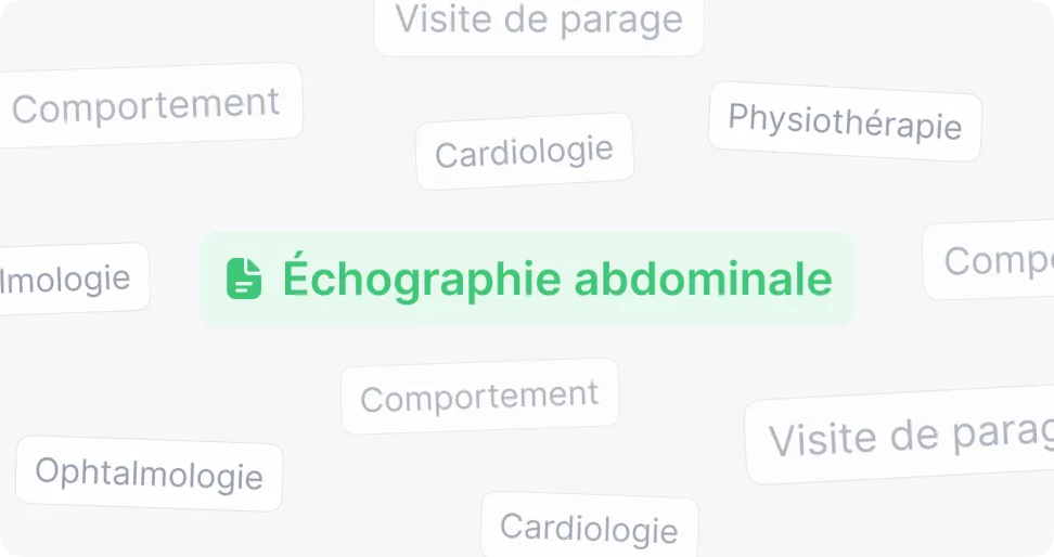 Une rédaction adaptée à vos propres trames
